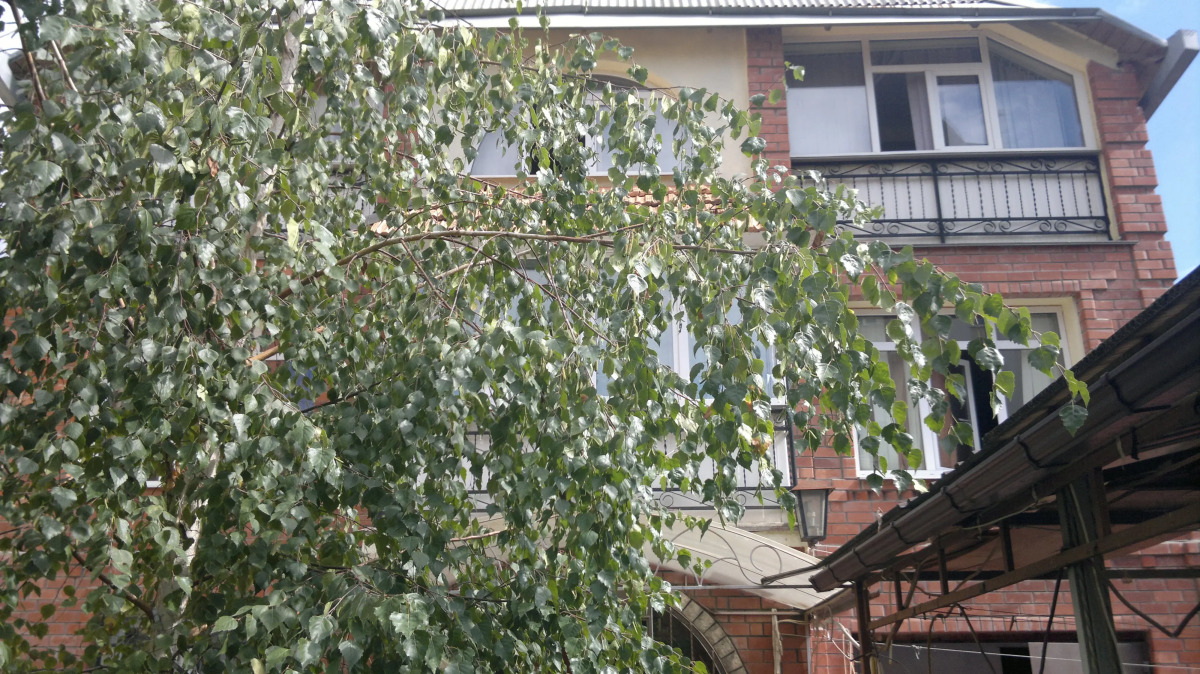 Гостевой дом Дом у Моря