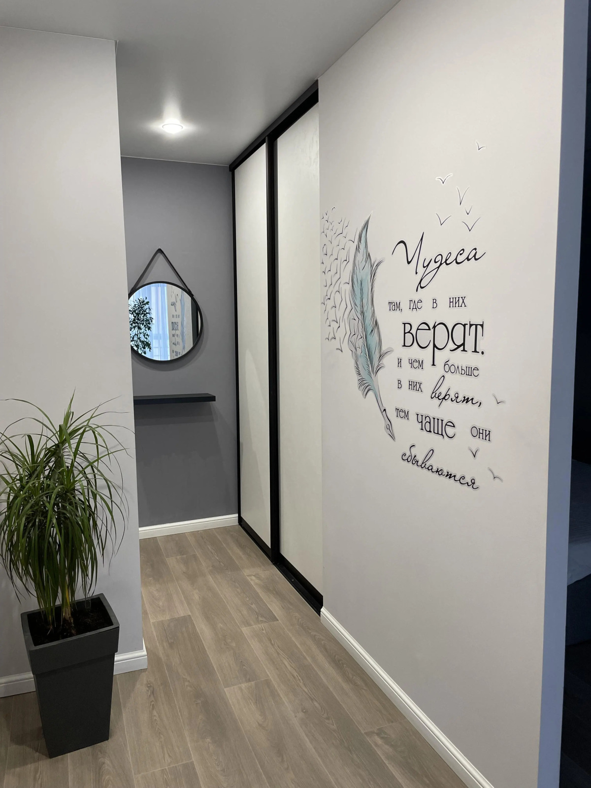 Квартира Монстера