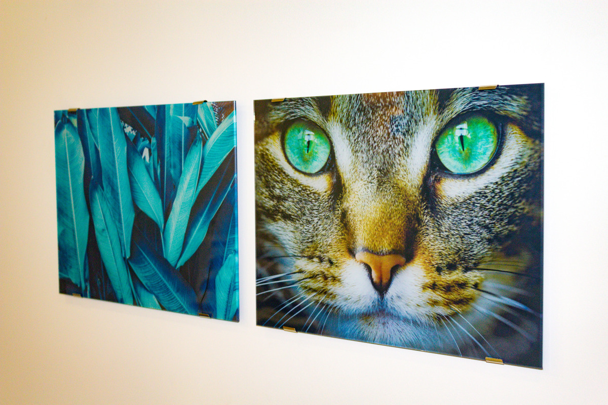 Апартаменты Studio Crocus 4 на Ильинском 2А