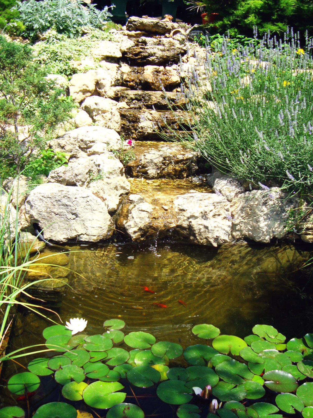 Гостевой Дом Солнечная Ривьера