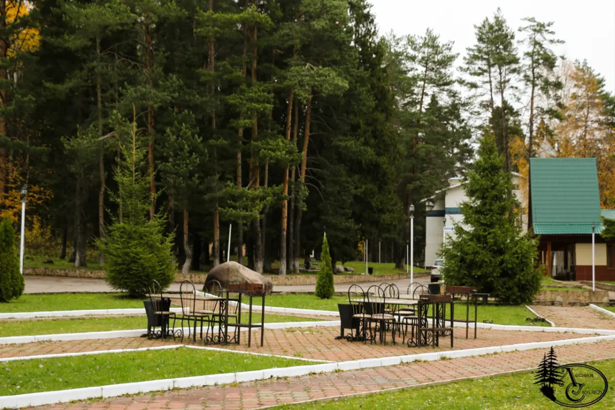 Отель Лесная Сказка