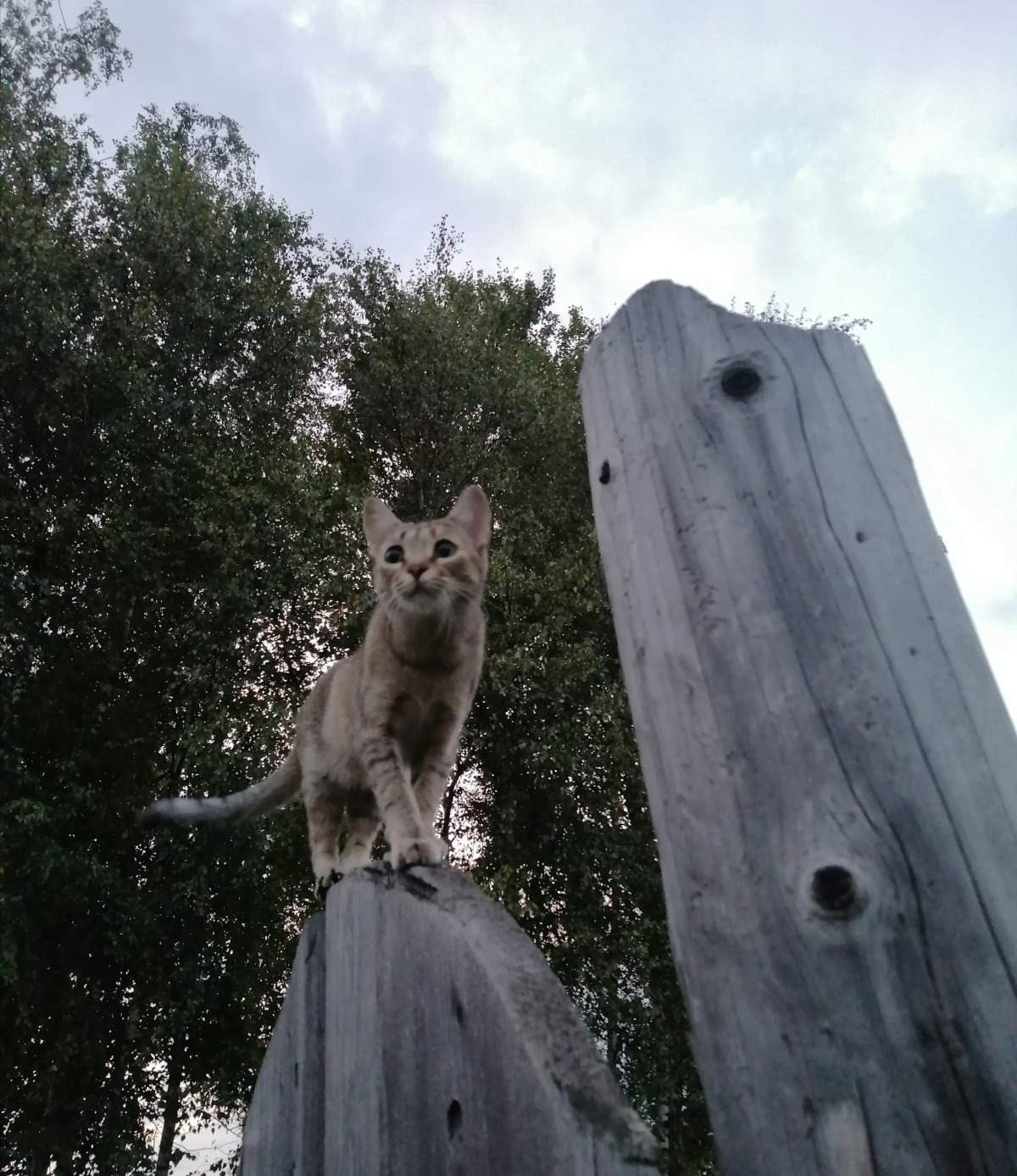 Гостевой дом Окулова Заимка