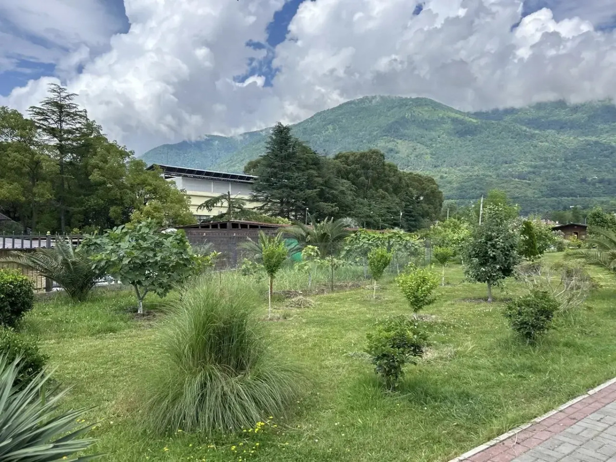 Отель Gudwin Glamp