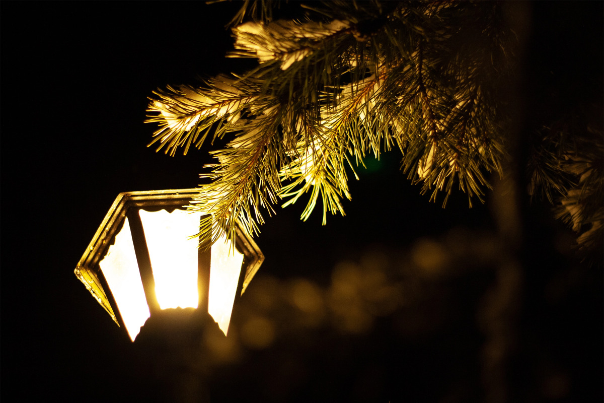 Коттеджный Комплекс Озерный Берег