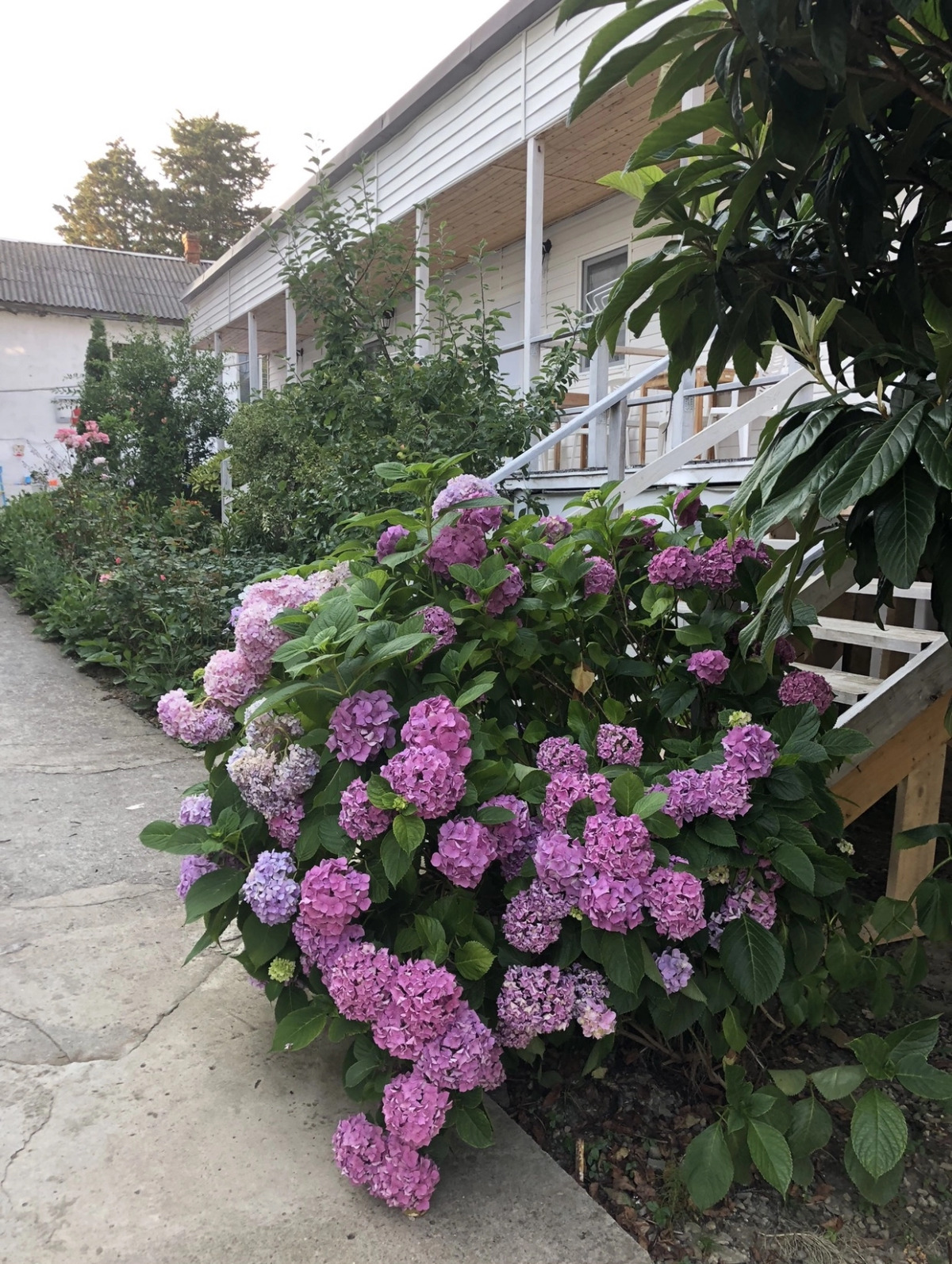 Гостевой дом «Big Fish»