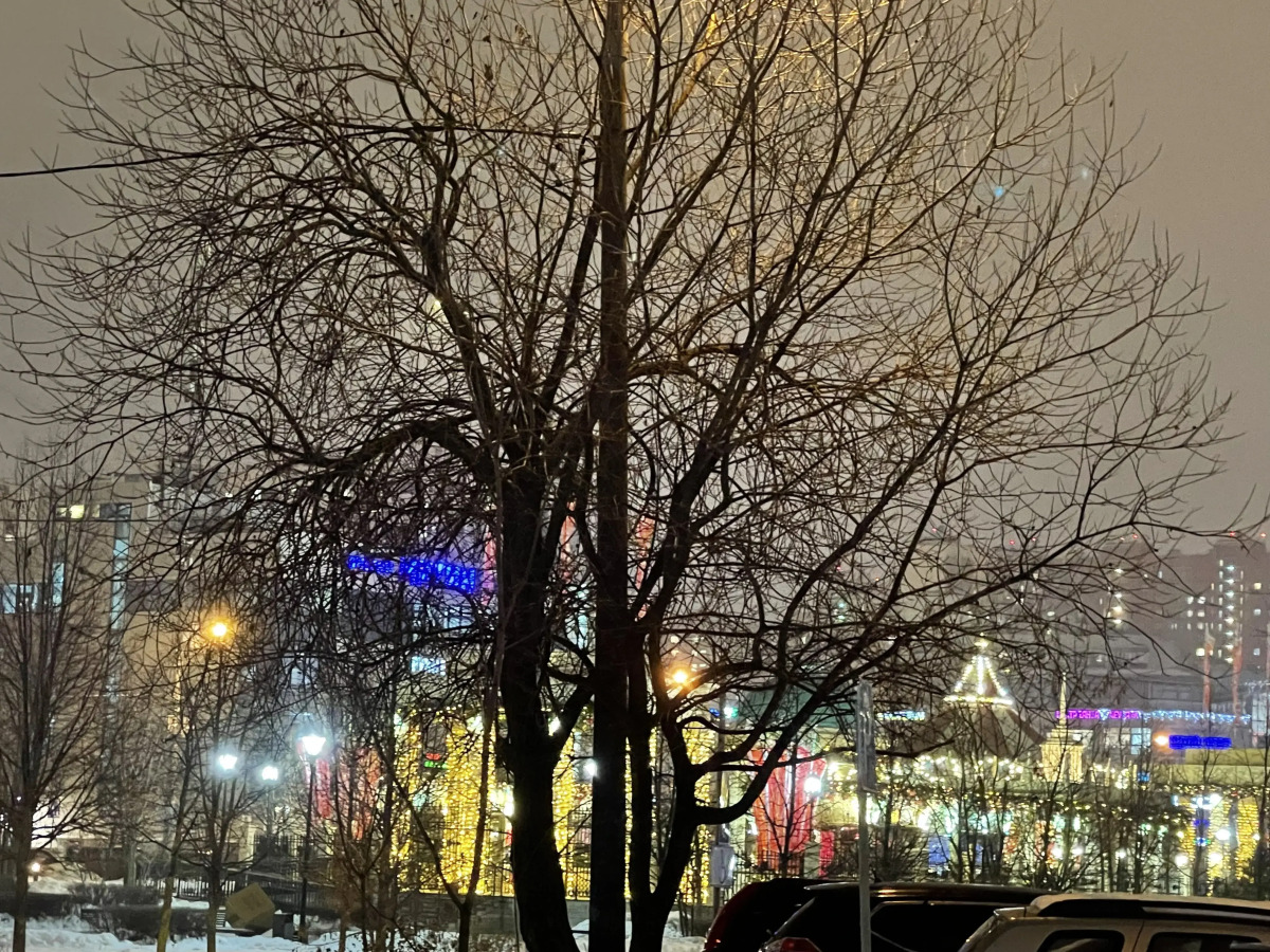 Квартира у Метро Митино Двушка