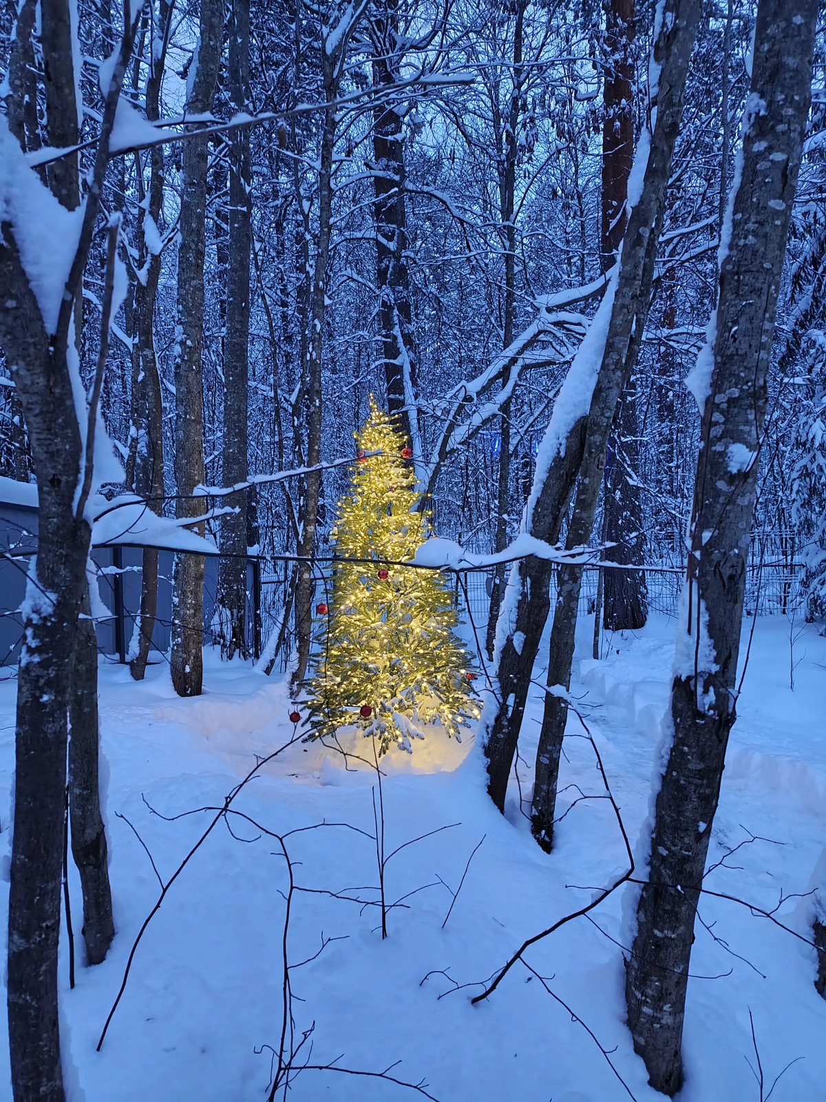 Гостевой Дом Shuya Tiny House (4-х Местный)