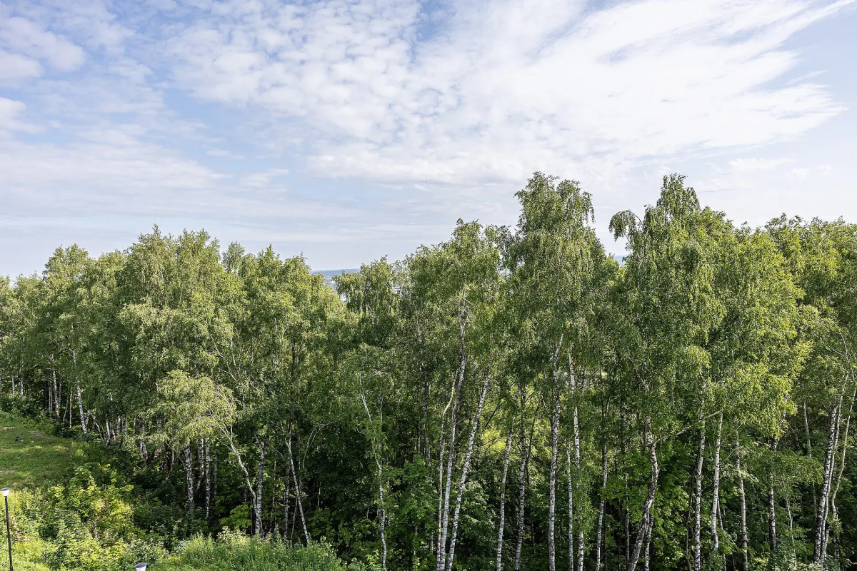 Апартаменты с видом на парк с двумя раздельными кроватями, кухней, ПММ в 10 минутах от центра Нижнего Новгорода
