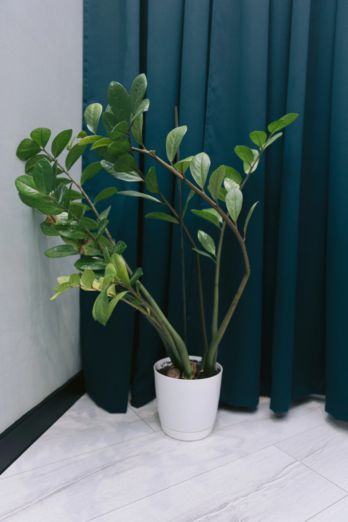 Квартира Гармония ЖК Московский