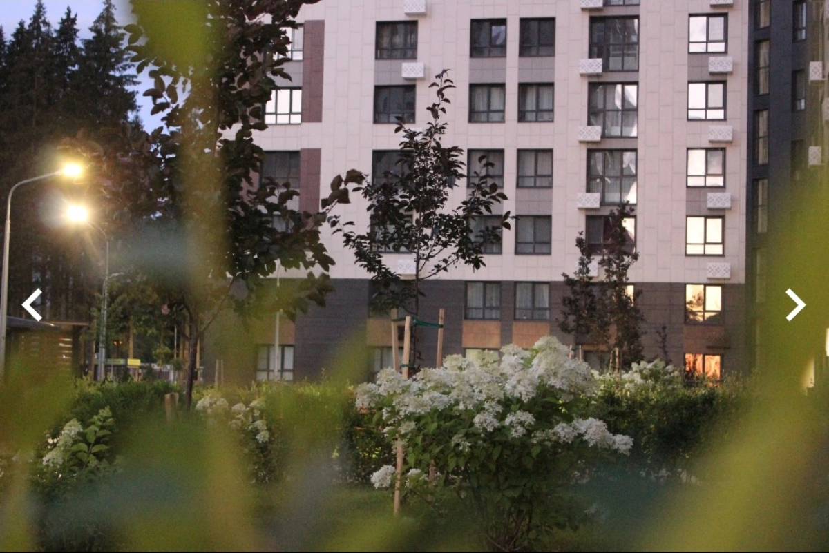 Квартира в Венском лесу