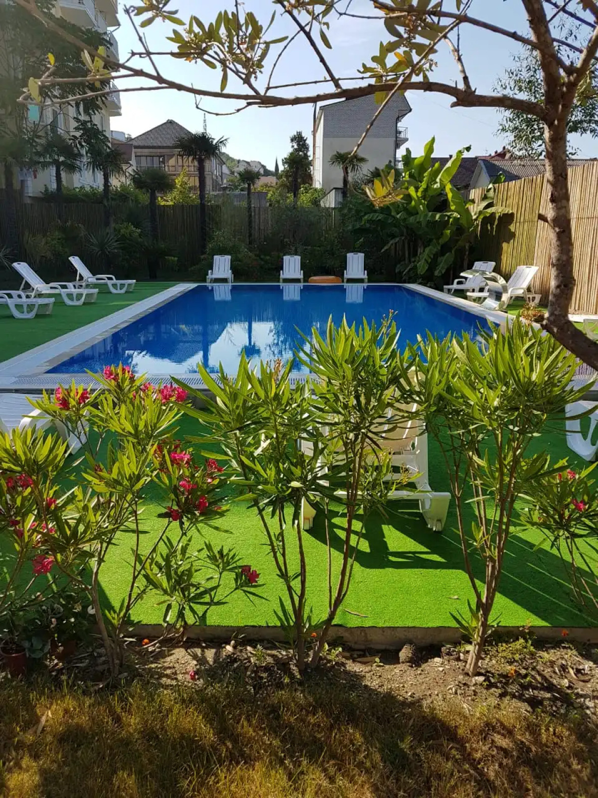 Гостевой дом Arcadiya