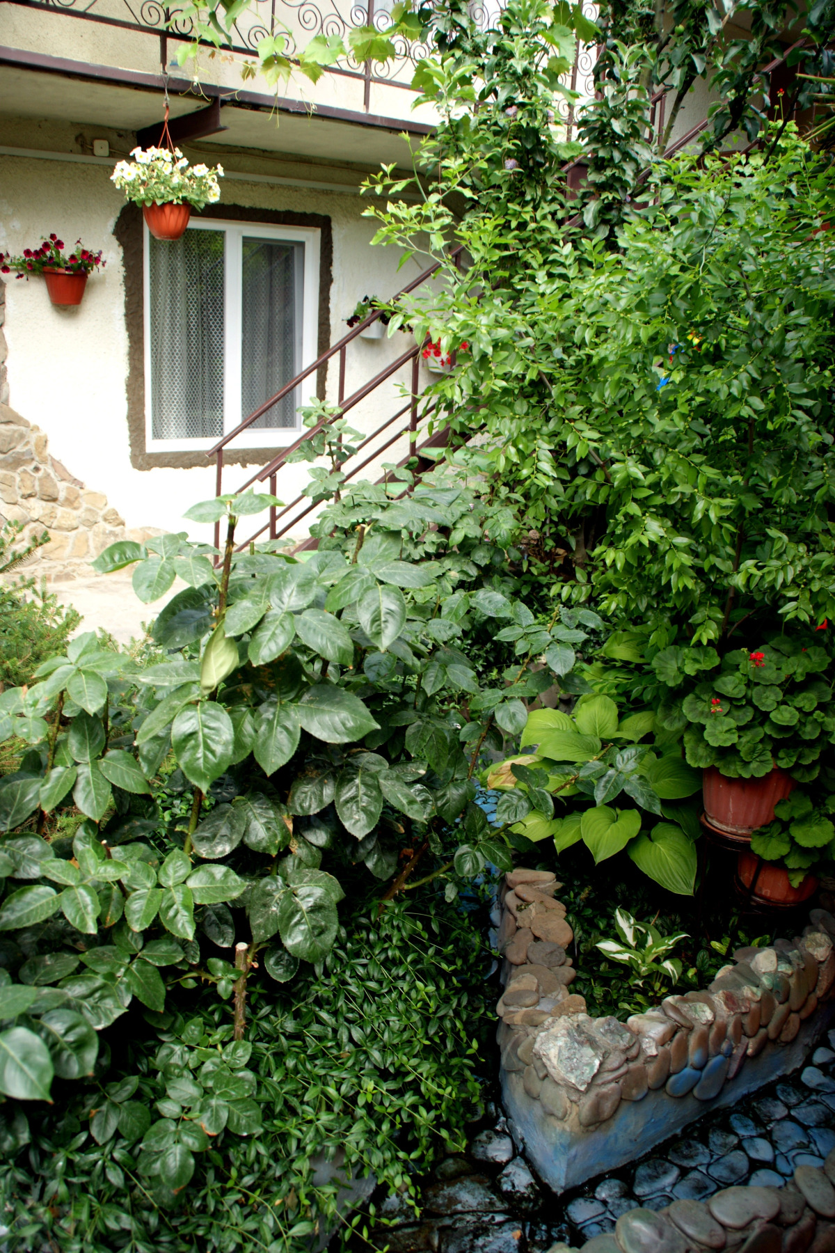 Гостевой Дом Вишневских