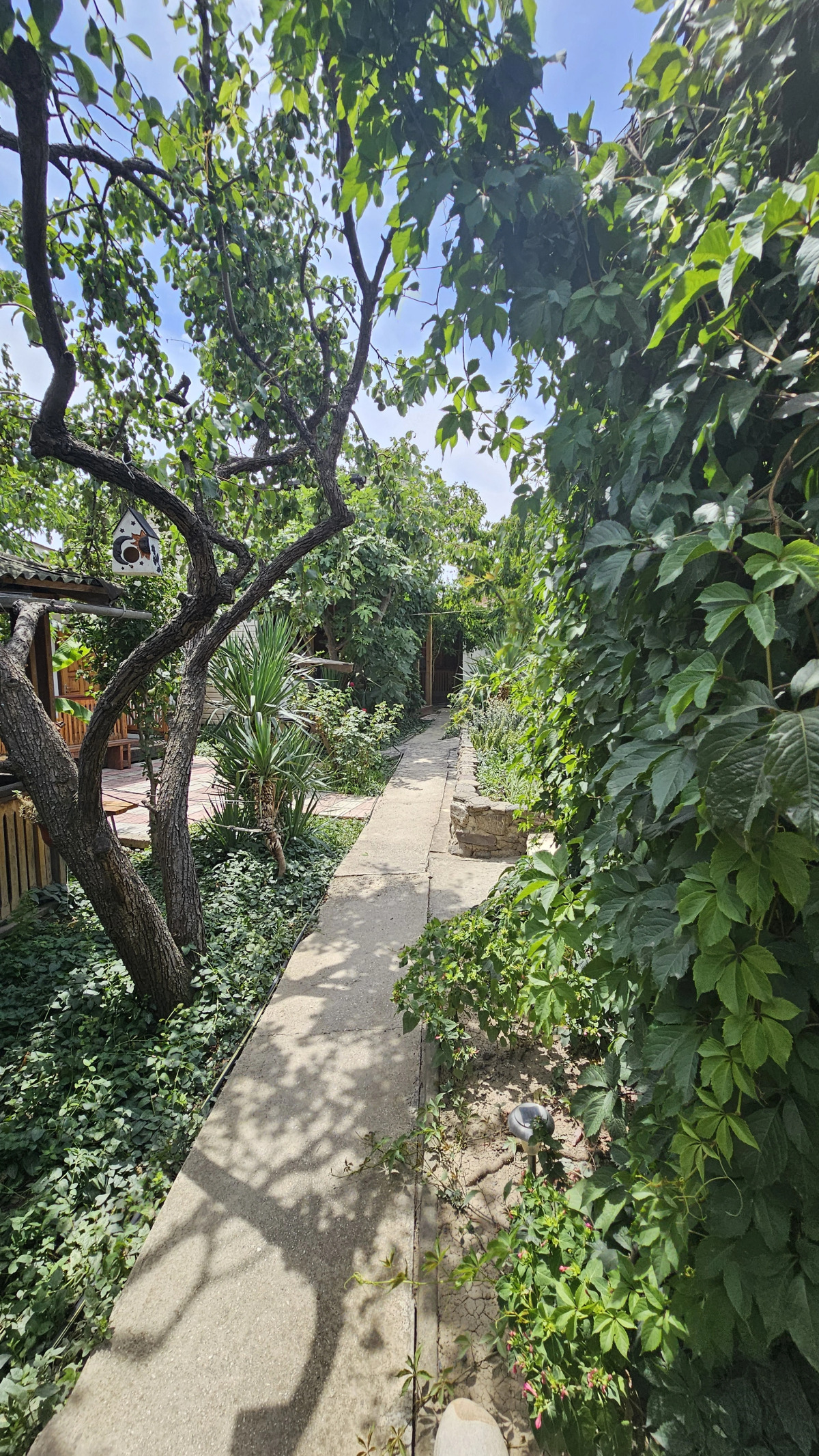 Гостевой Дом Янаки