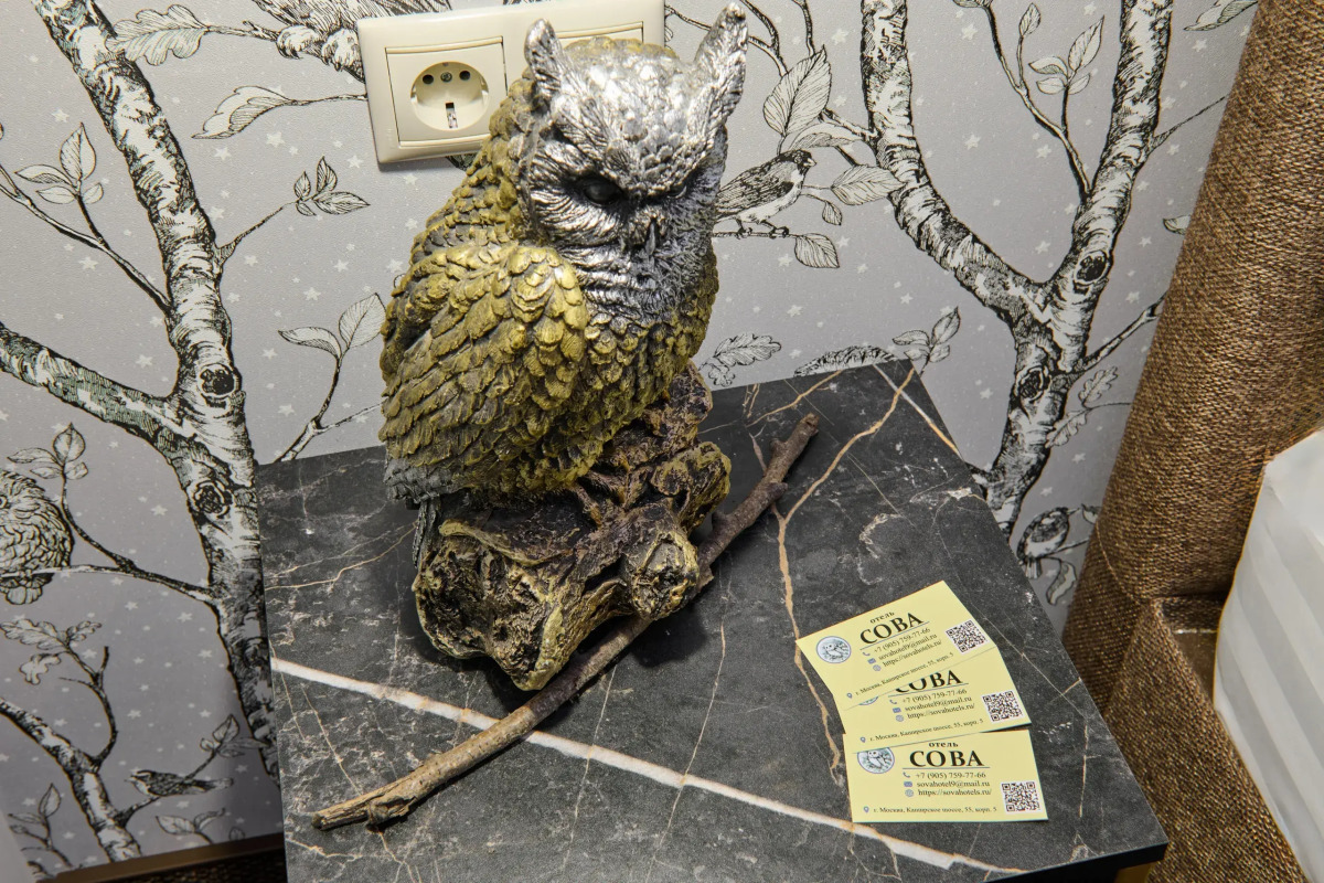 Отель Сова на Каширской