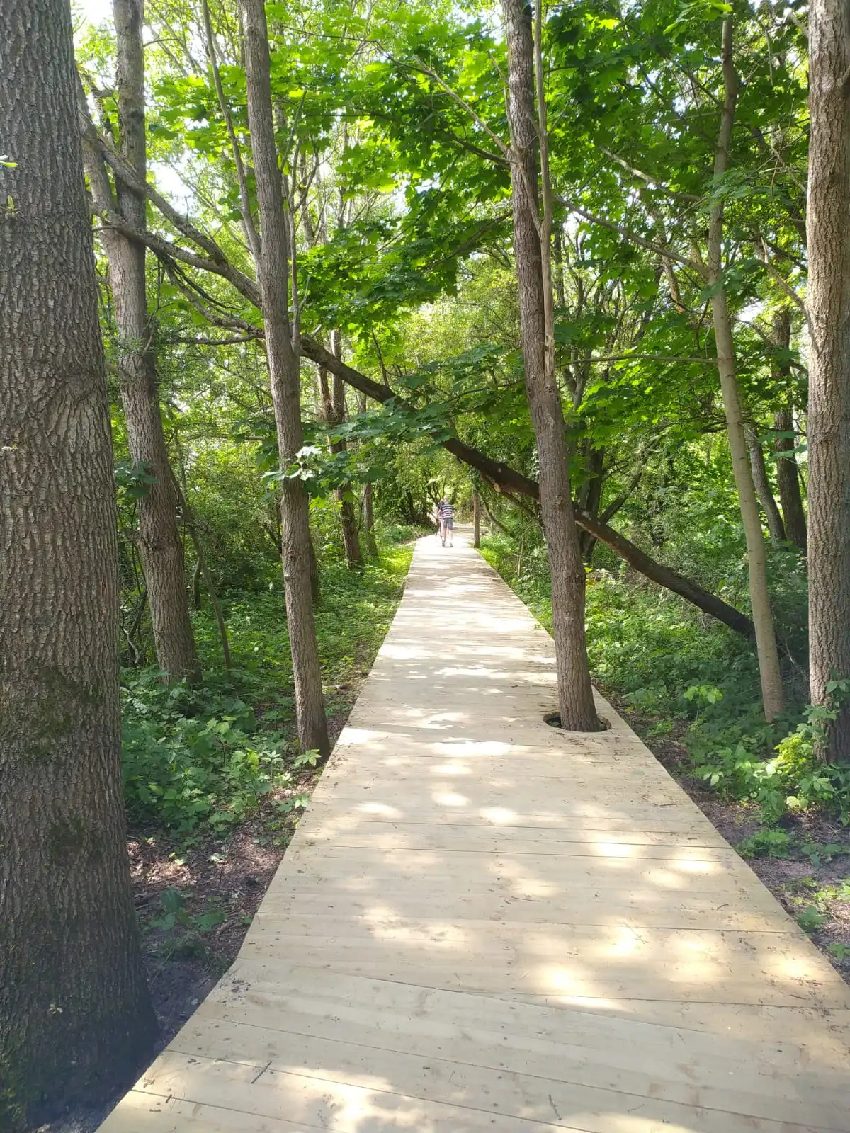 Апартаменты на берегу Балтийского моря