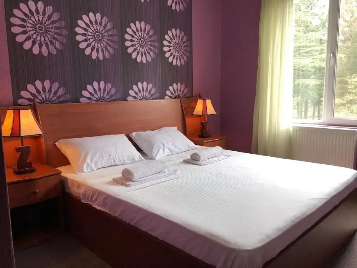 Отель Park Hotel Imeri