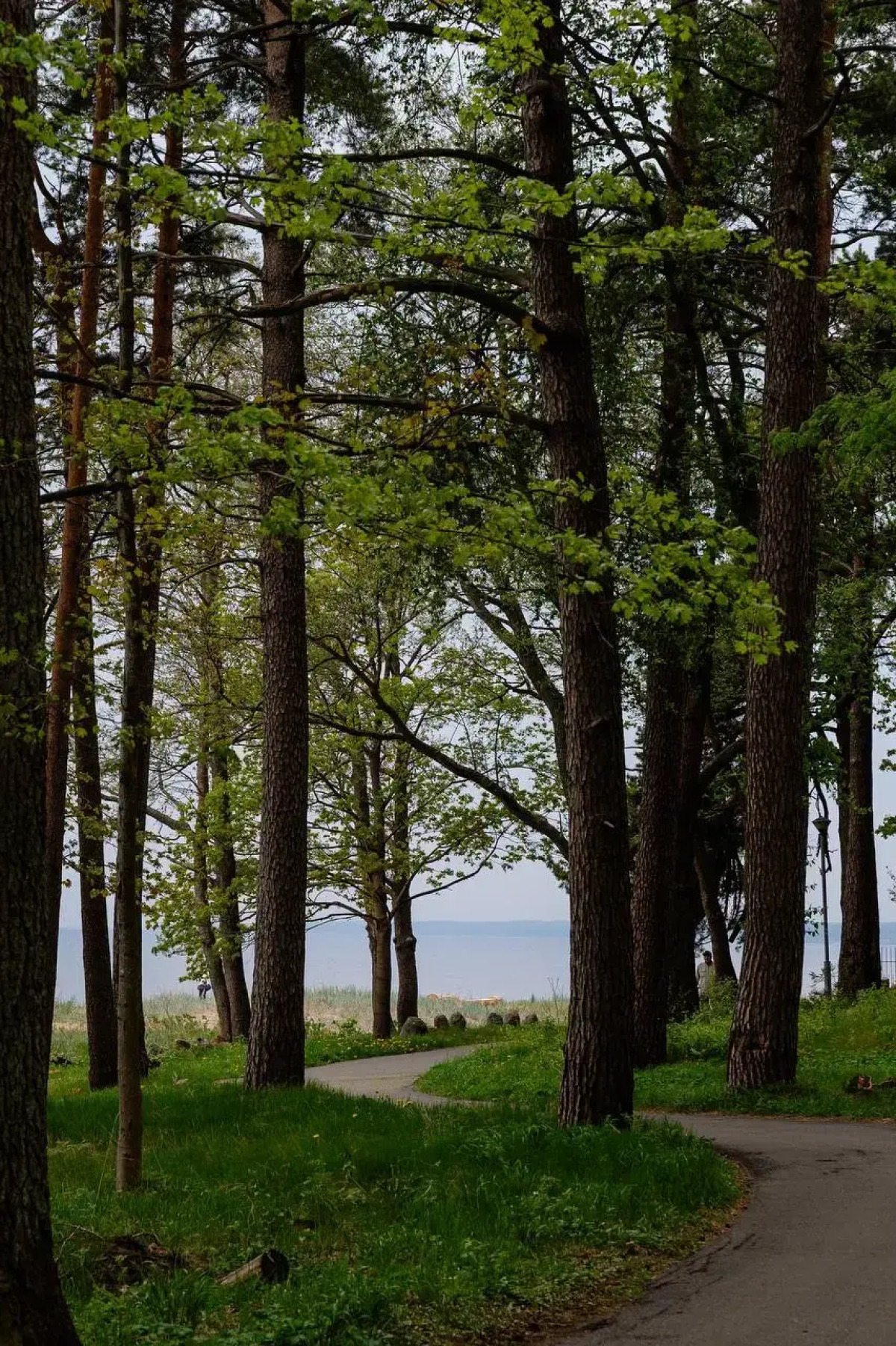 Апартаменты Ривьера апарт