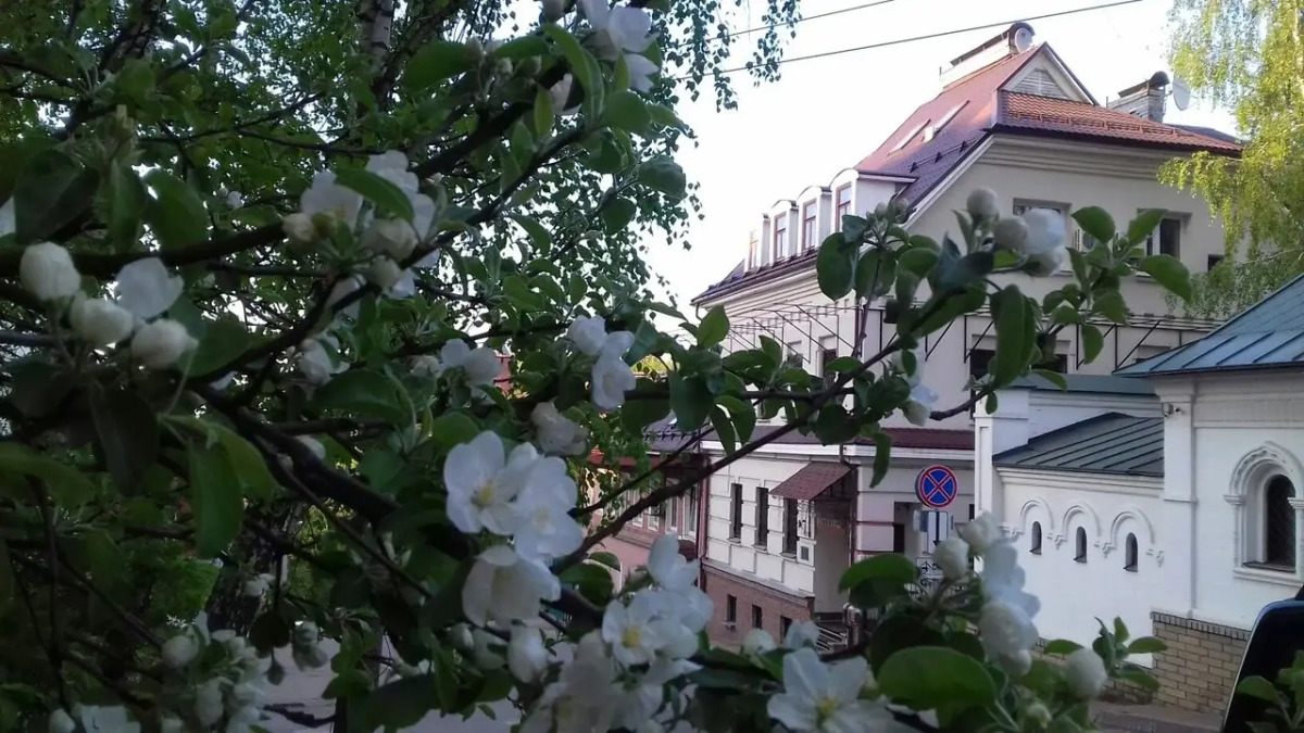 Гостиница У Домика Петра