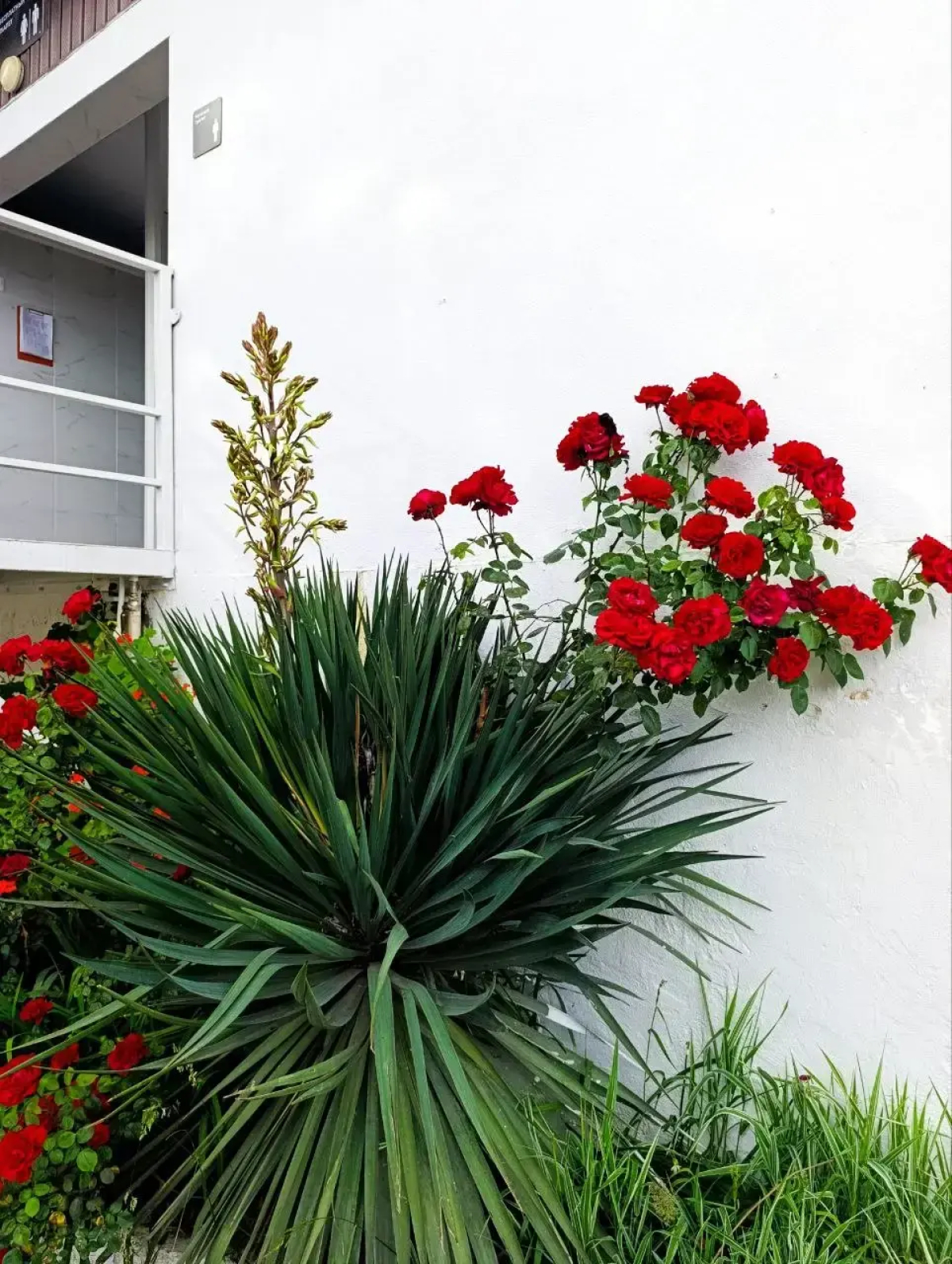 Гостевой дом Villa Soho Sochi Russia