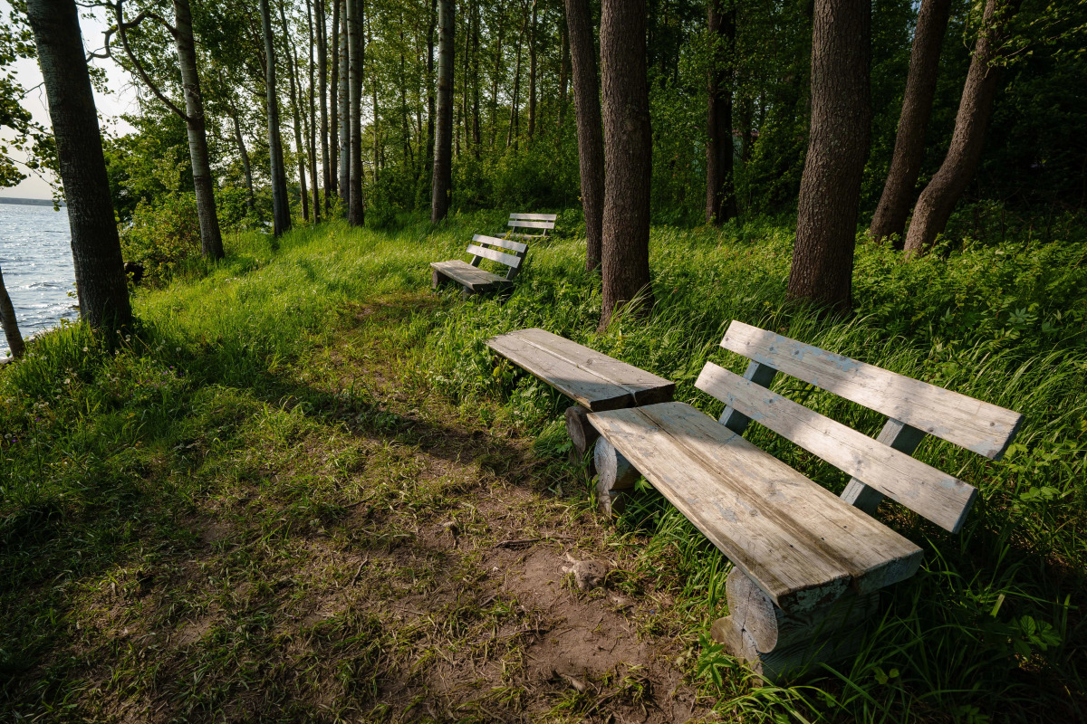 База отдыха Комплекс апартаментов ЭкоPort на Отрадном