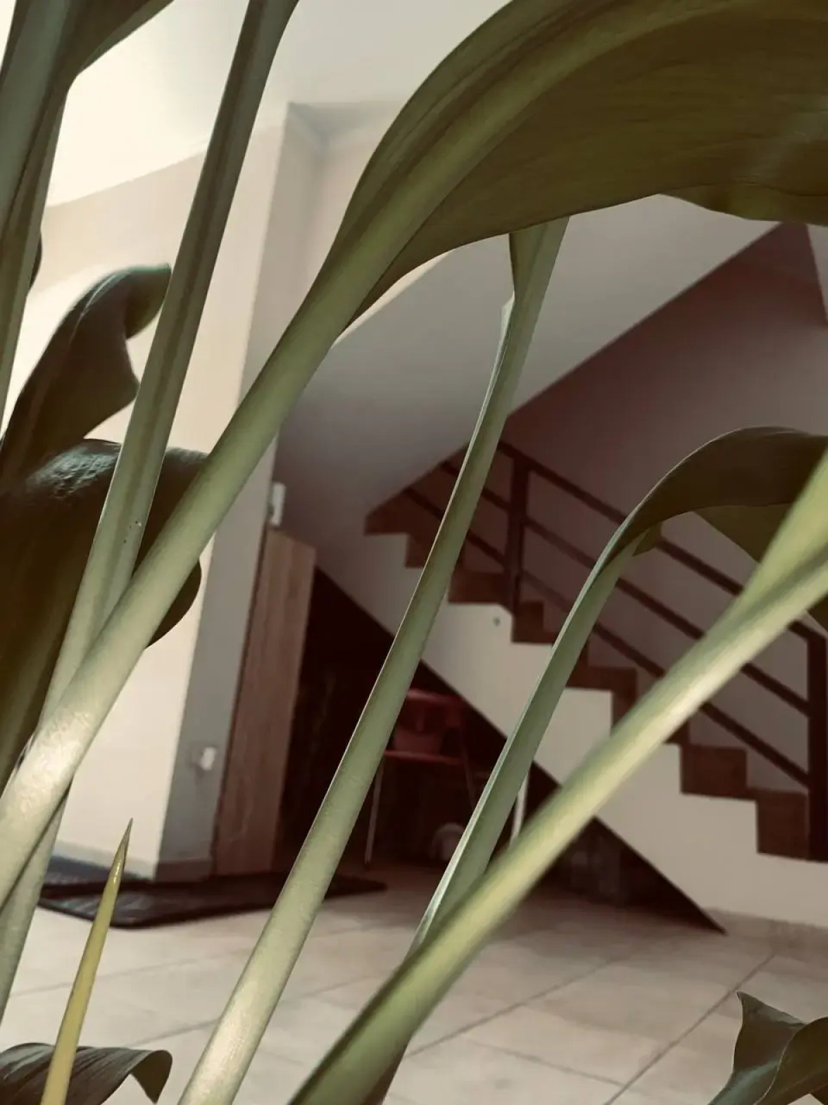 Апартаменты на Торфяной