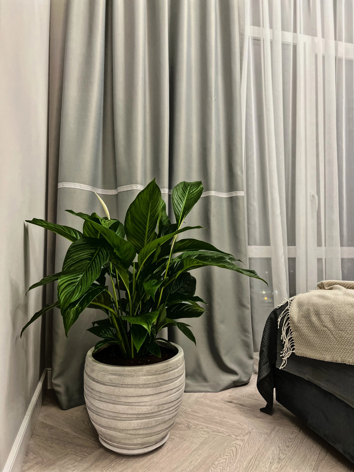 Апартаменты Quiet