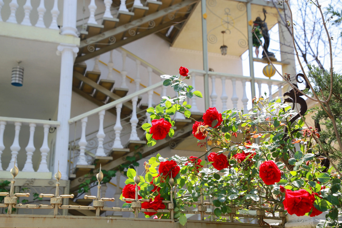 Гостевой дом Панорама