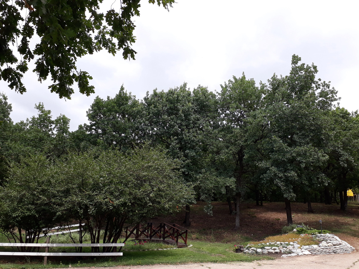 Гостевой Дом Дубрава