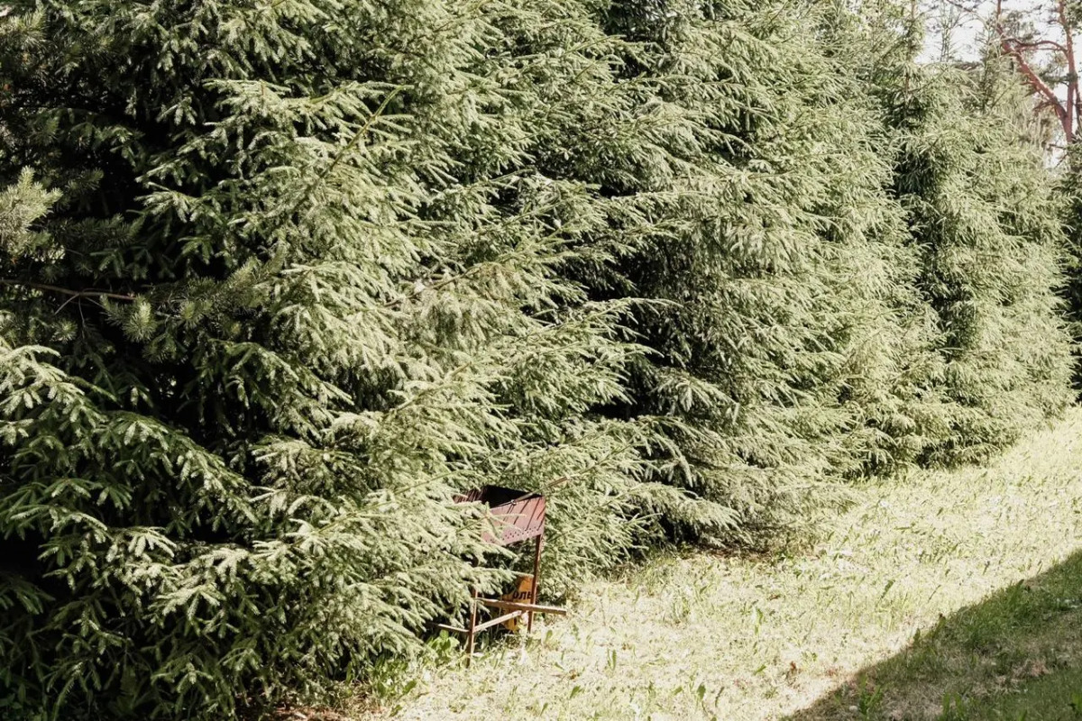 Квартира Апартаменты