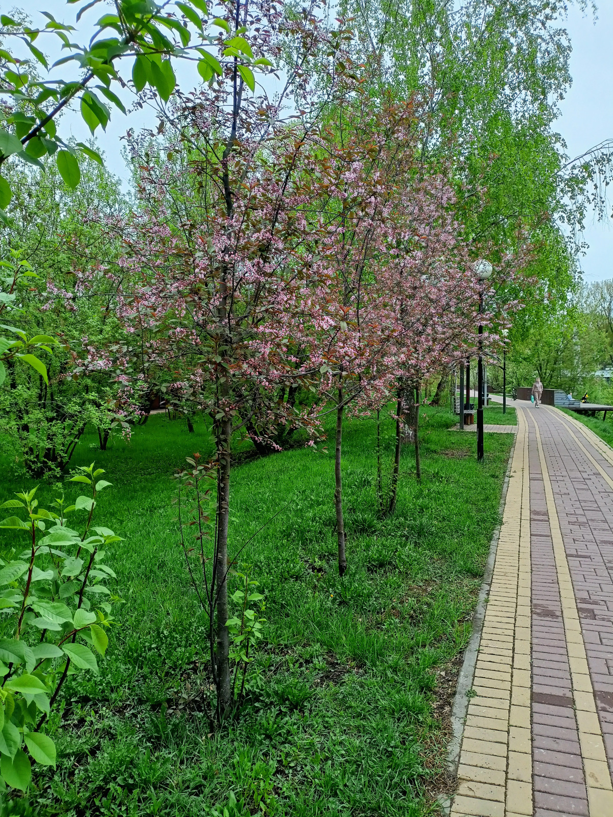 Апартаменты Стандартные на Автозаводской 19/1