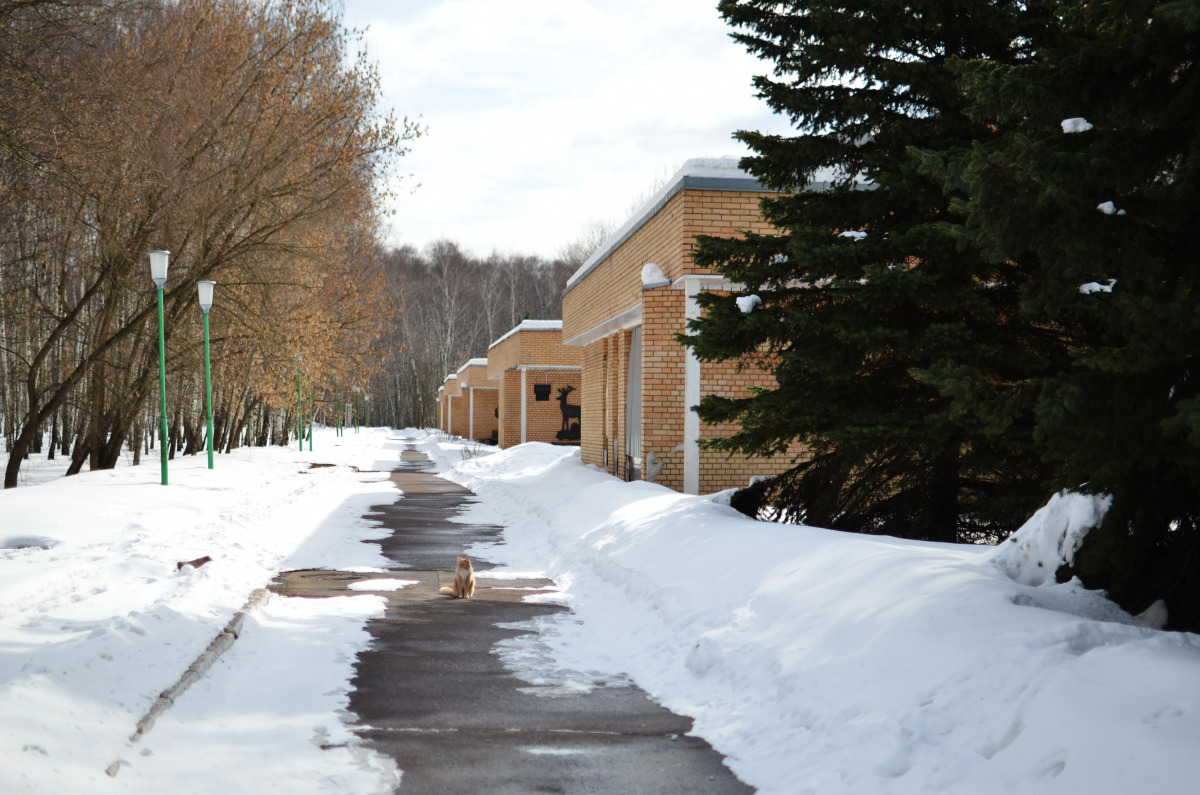 Мини-Отель ССК ВОО