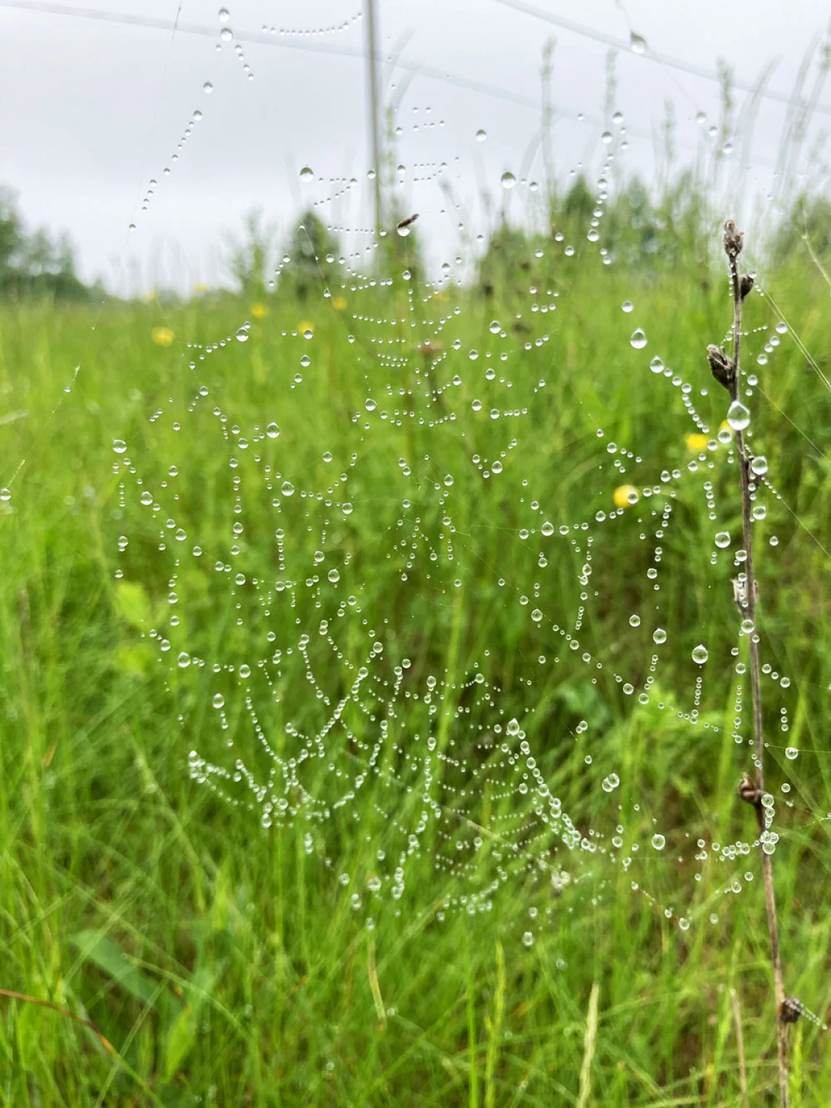 База отдыха Экопарк Бобровый Мыс