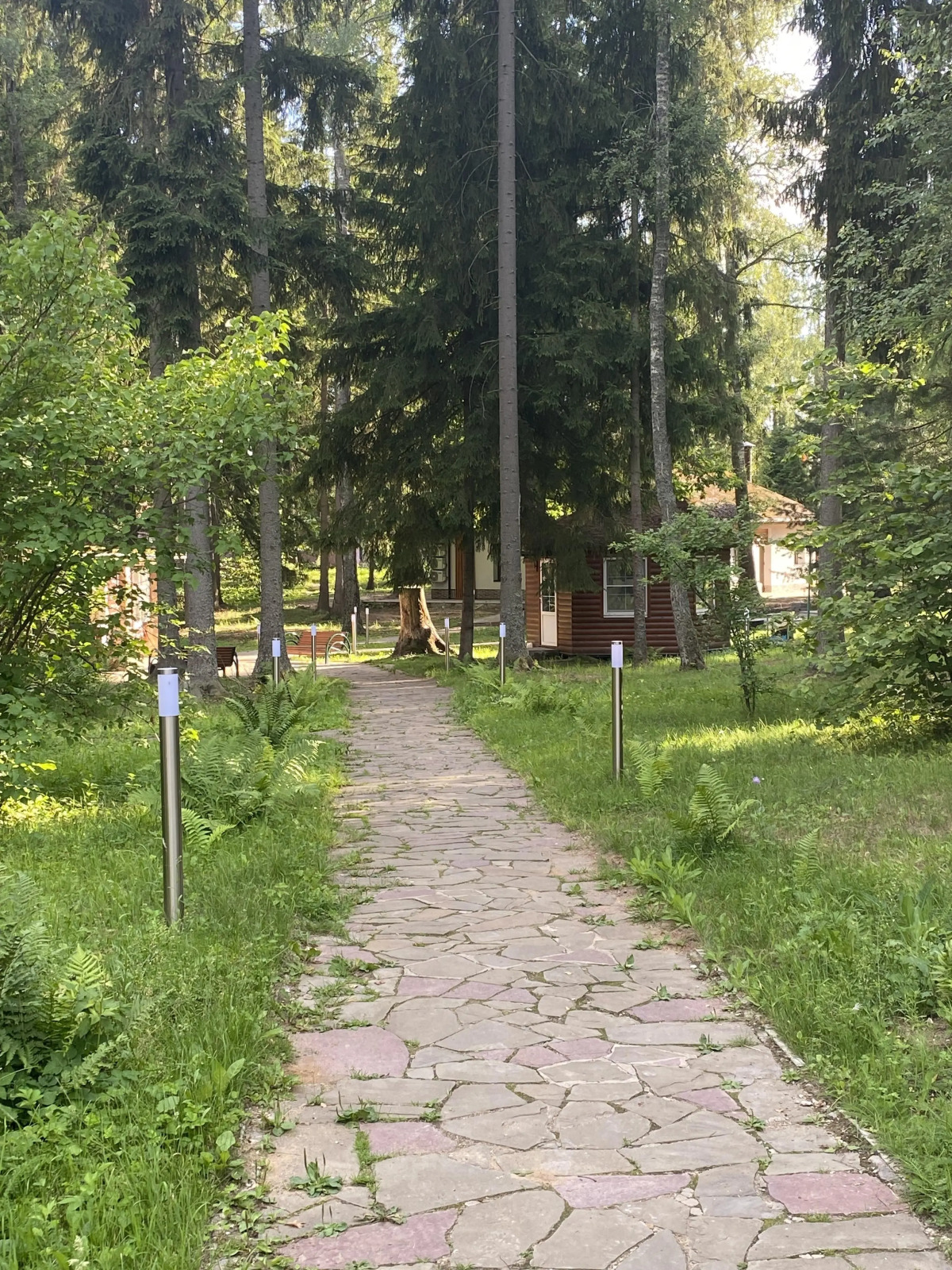 Отель Ruza Forest