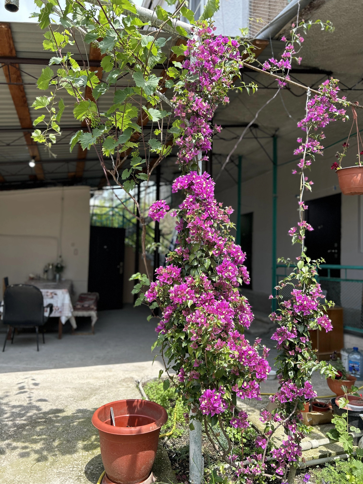 Гостевой дом Шапсугская 6А