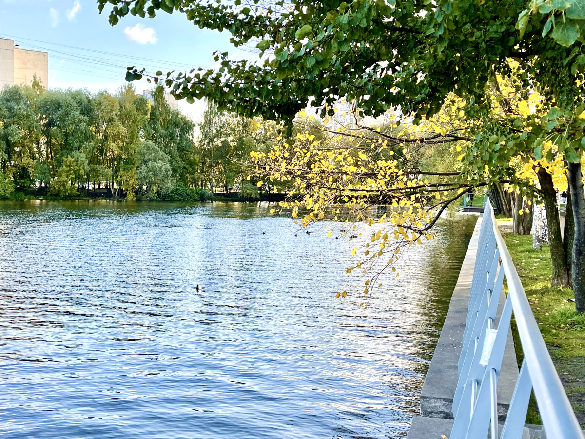 Апартаменты 3-я студия Ривер парк