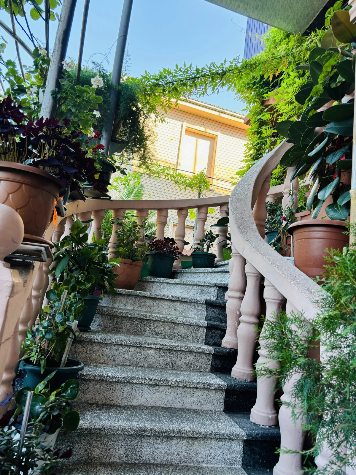 Гостевой дом Nanas