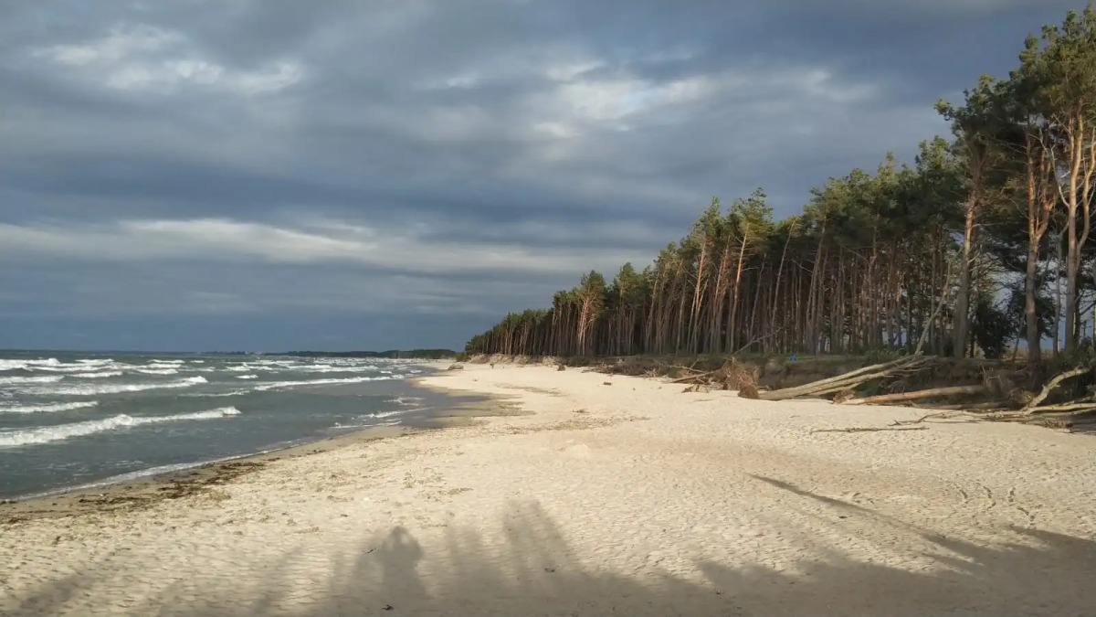 Апартаменты  с Видом на Море