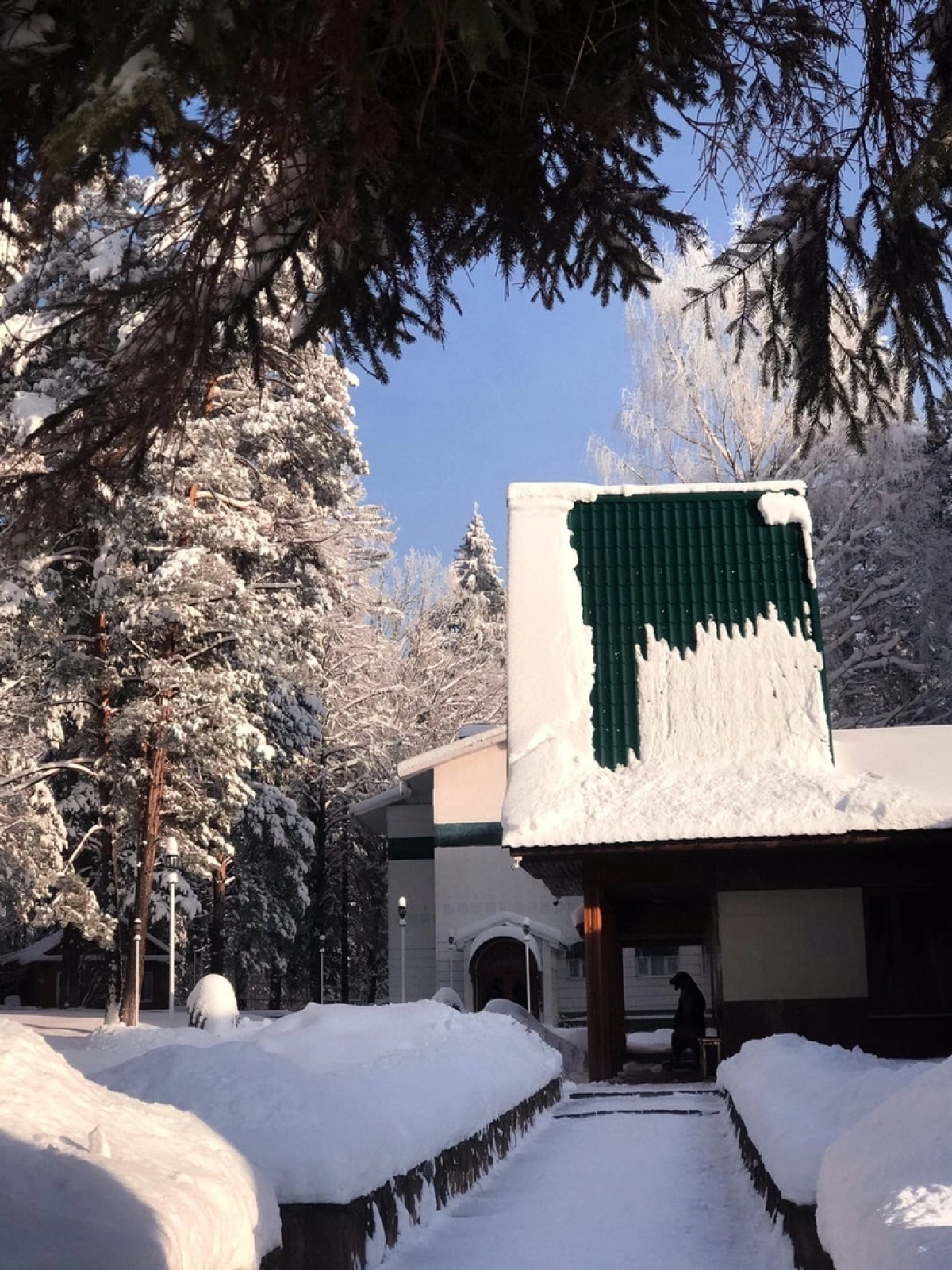 Отель Лесная Сказка