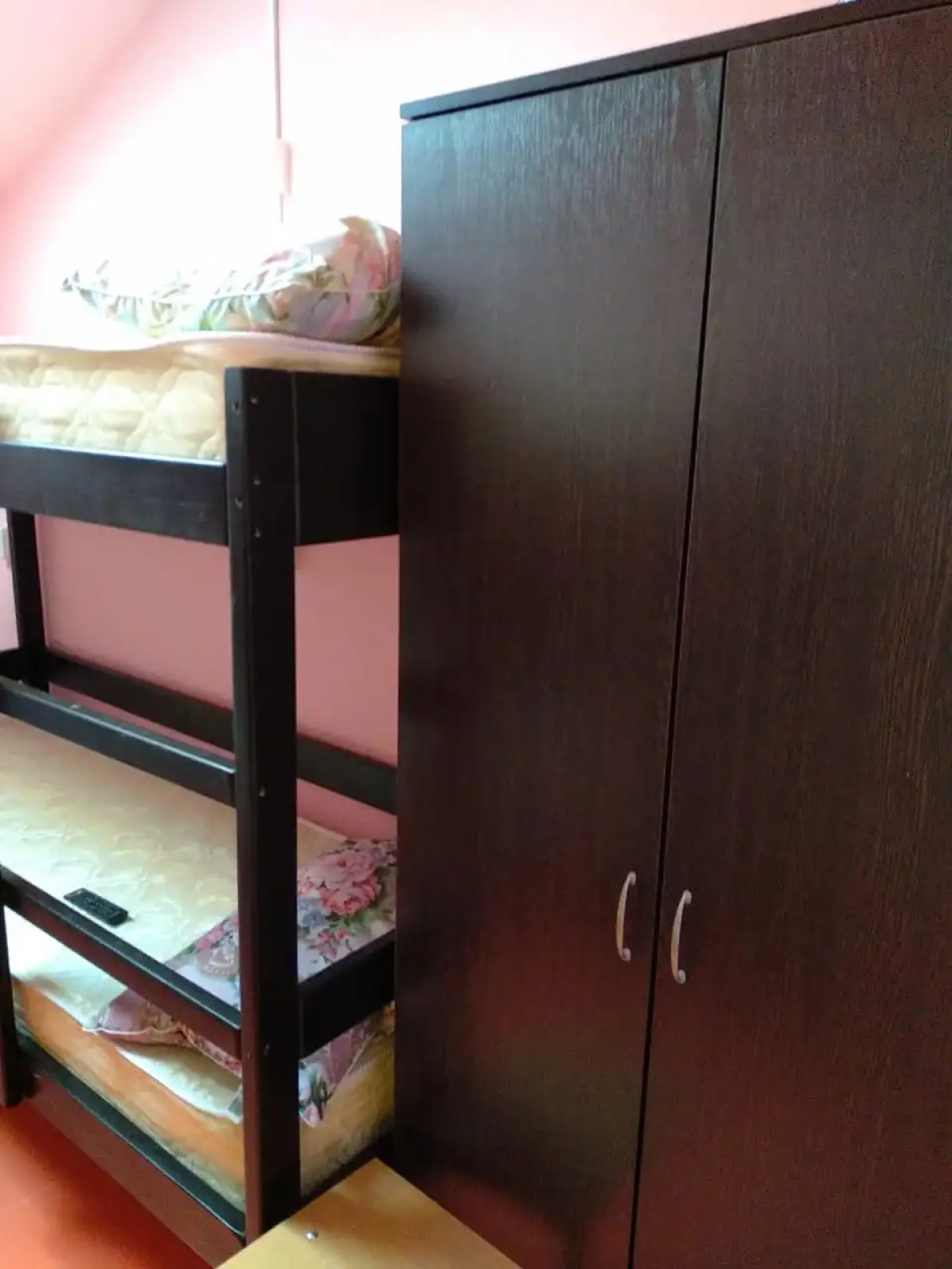 Хостел Вежливый Лось на Ботаническом Саду