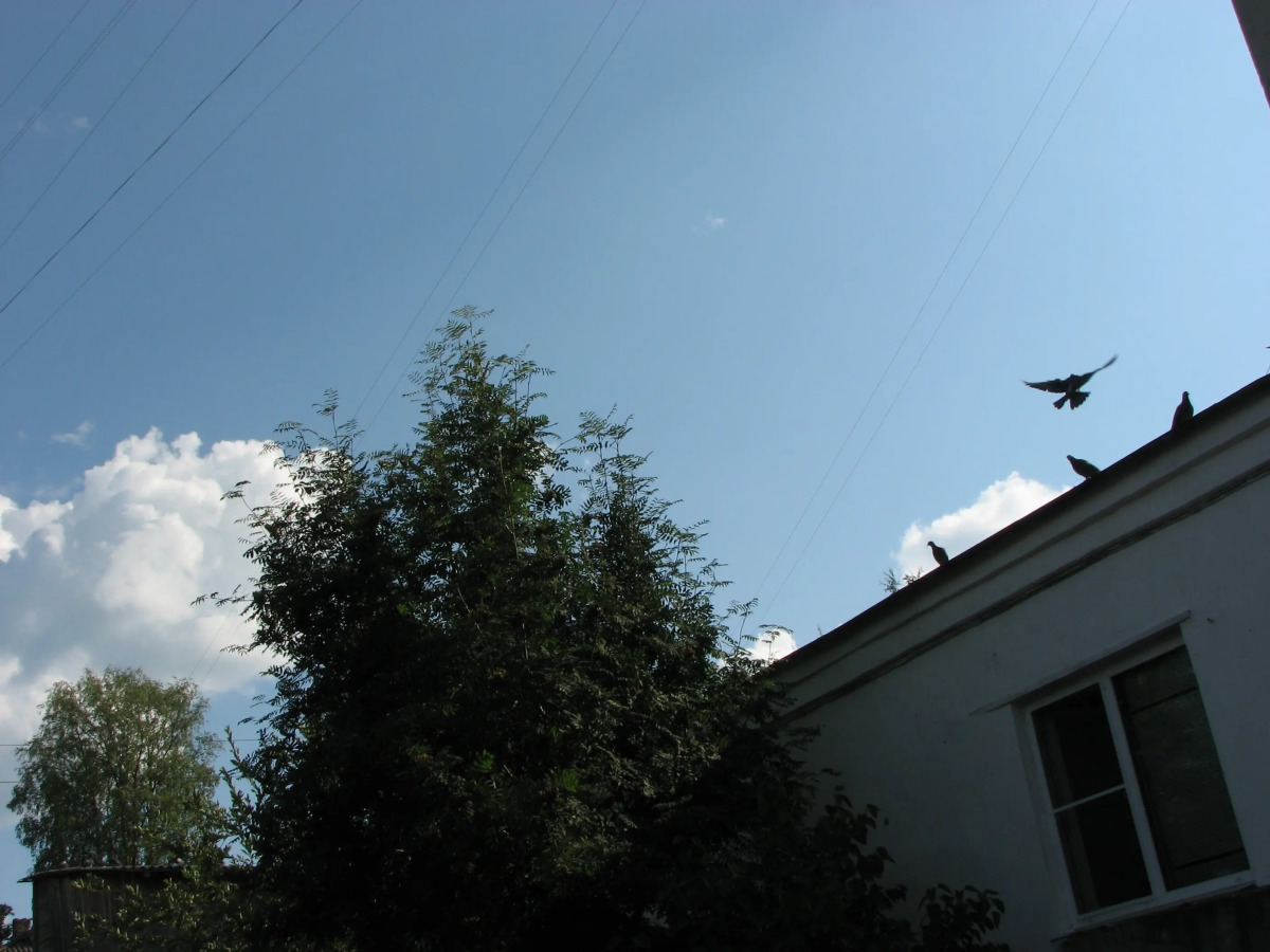 Хостел Облако