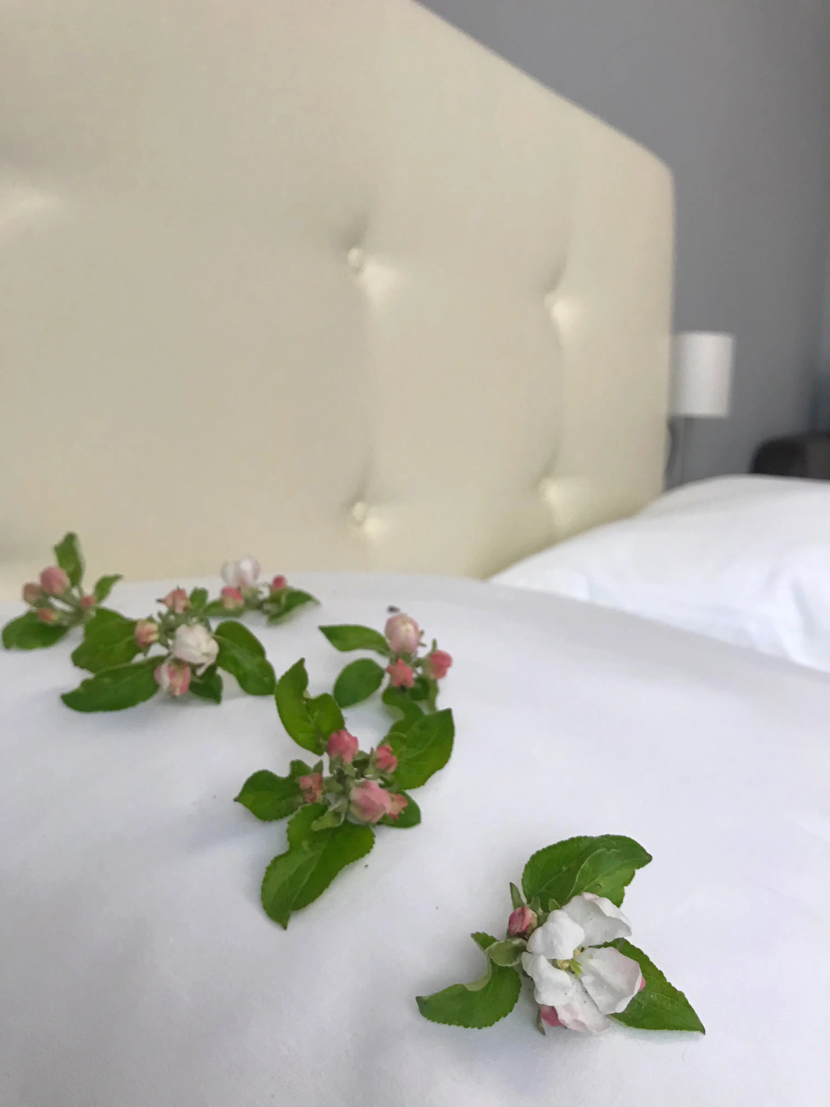 Гостевой дом Царедворье