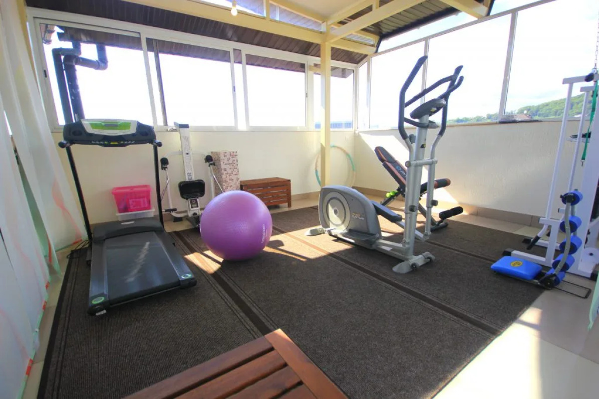 Аристократ (Сириус)