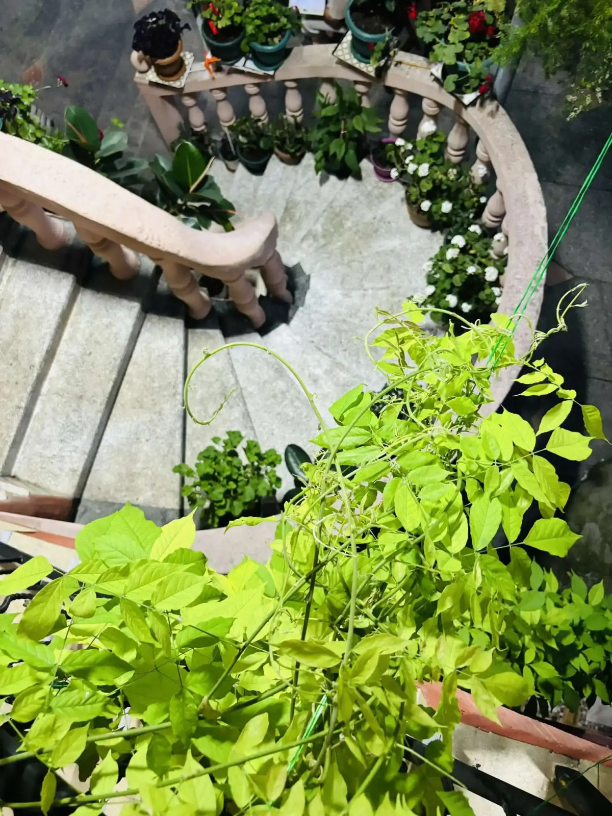 Гостевой дом Nanas