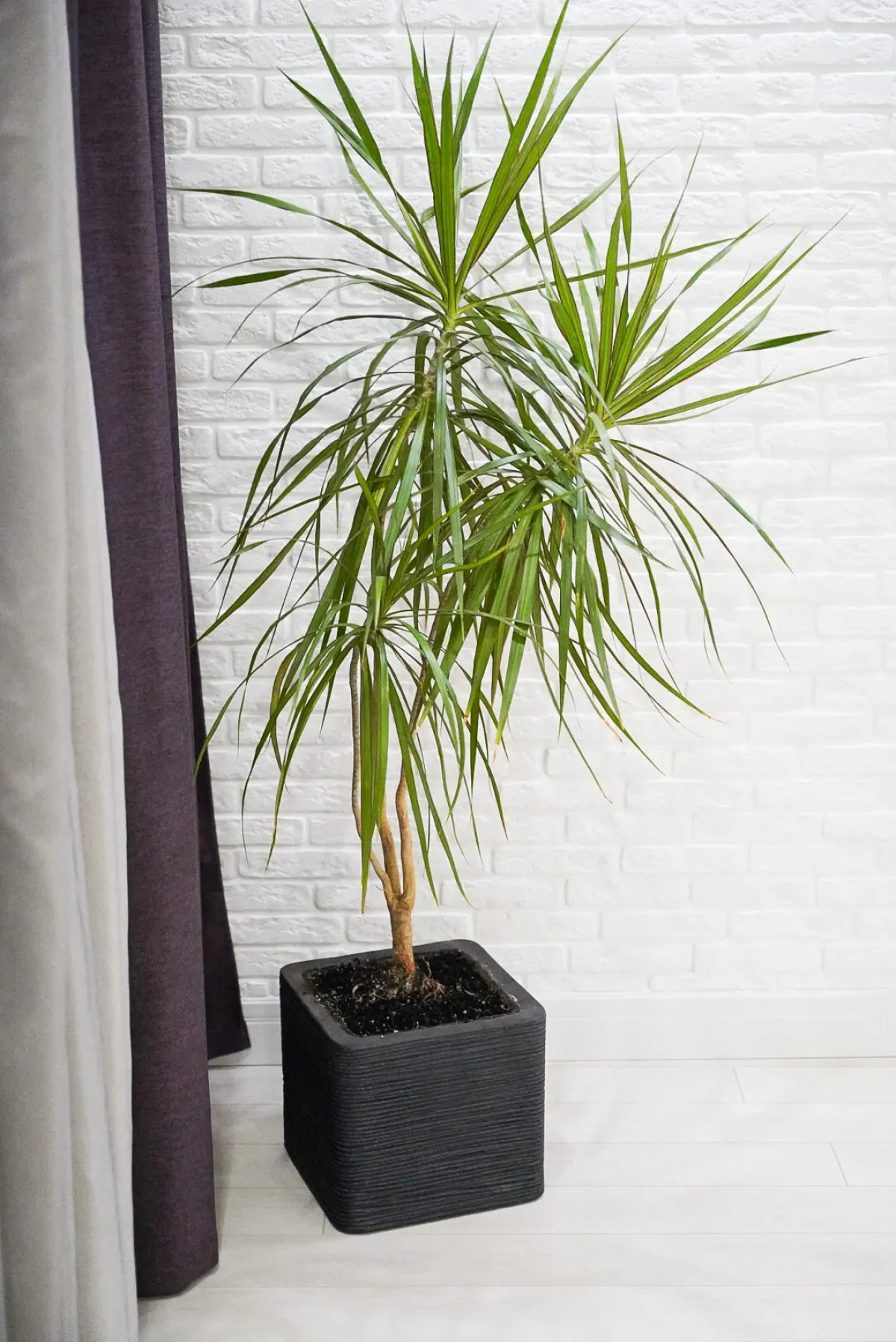 Апартаменты В Классическом Стиле