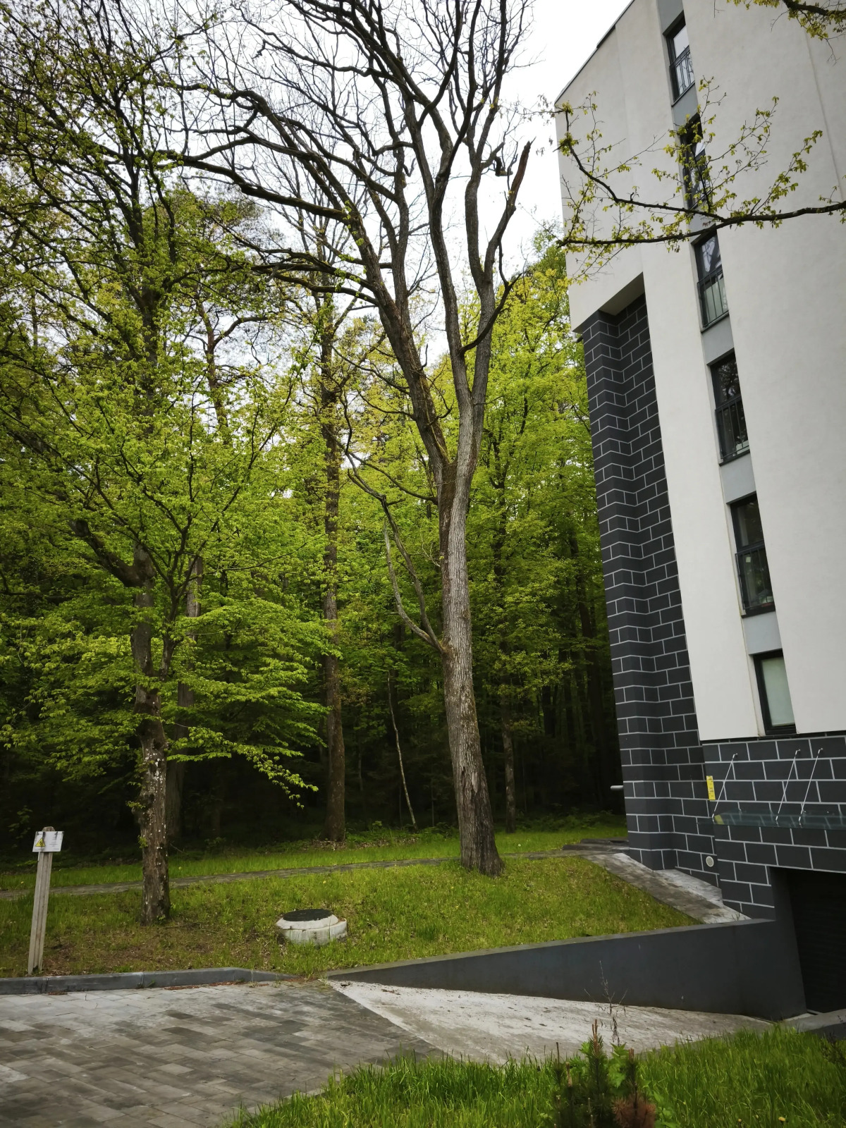 Апартаменты Serenity в окружении Реликтового Леса