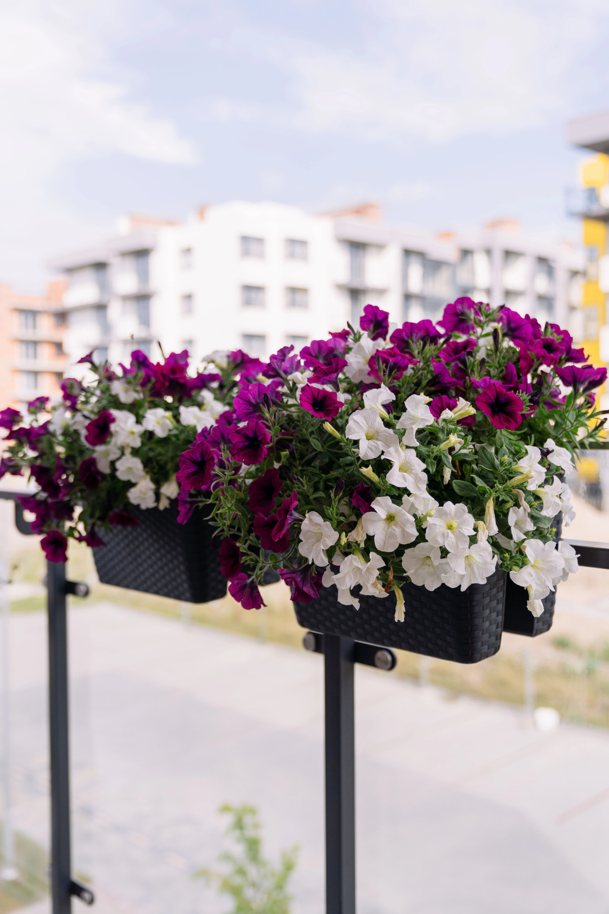 Апартаменты Apart-Deluxe Легенды Моря