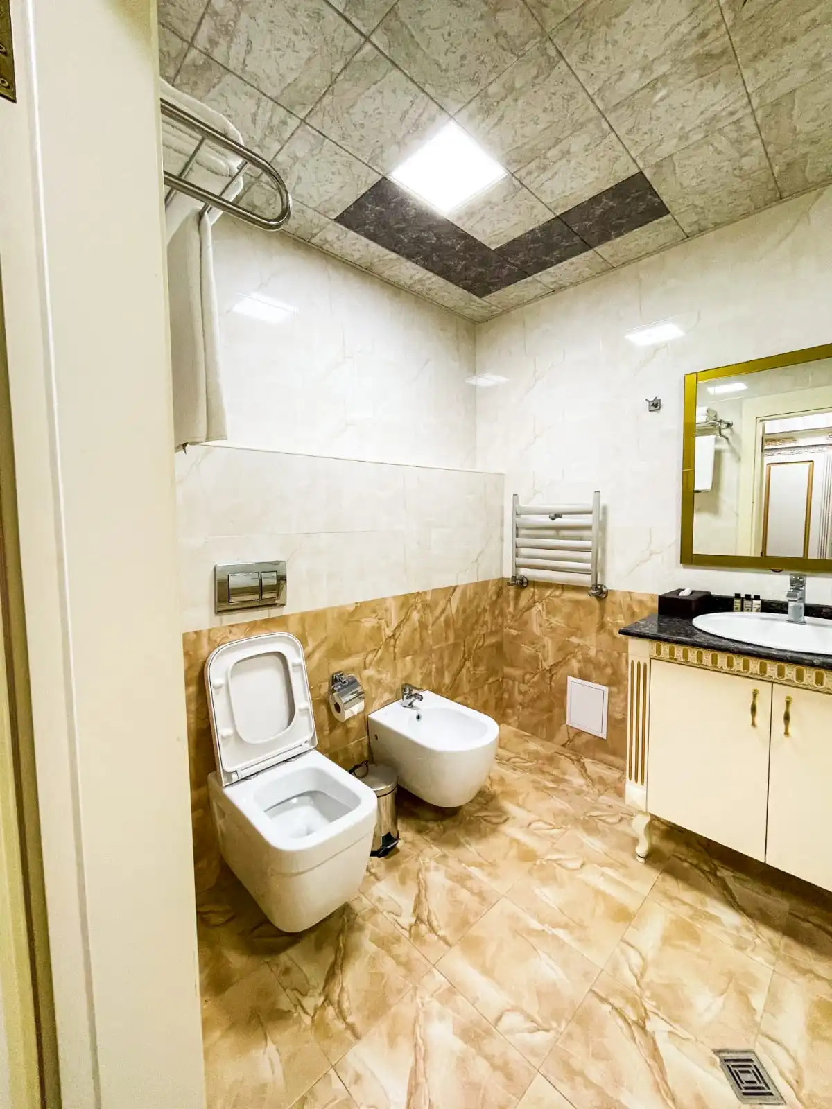 Отель Premier Palace Hotel