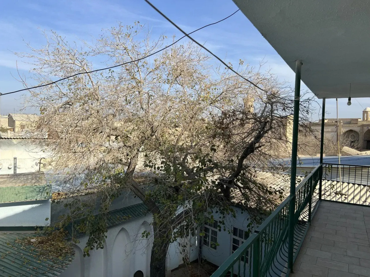 Отель Minorai Hurd