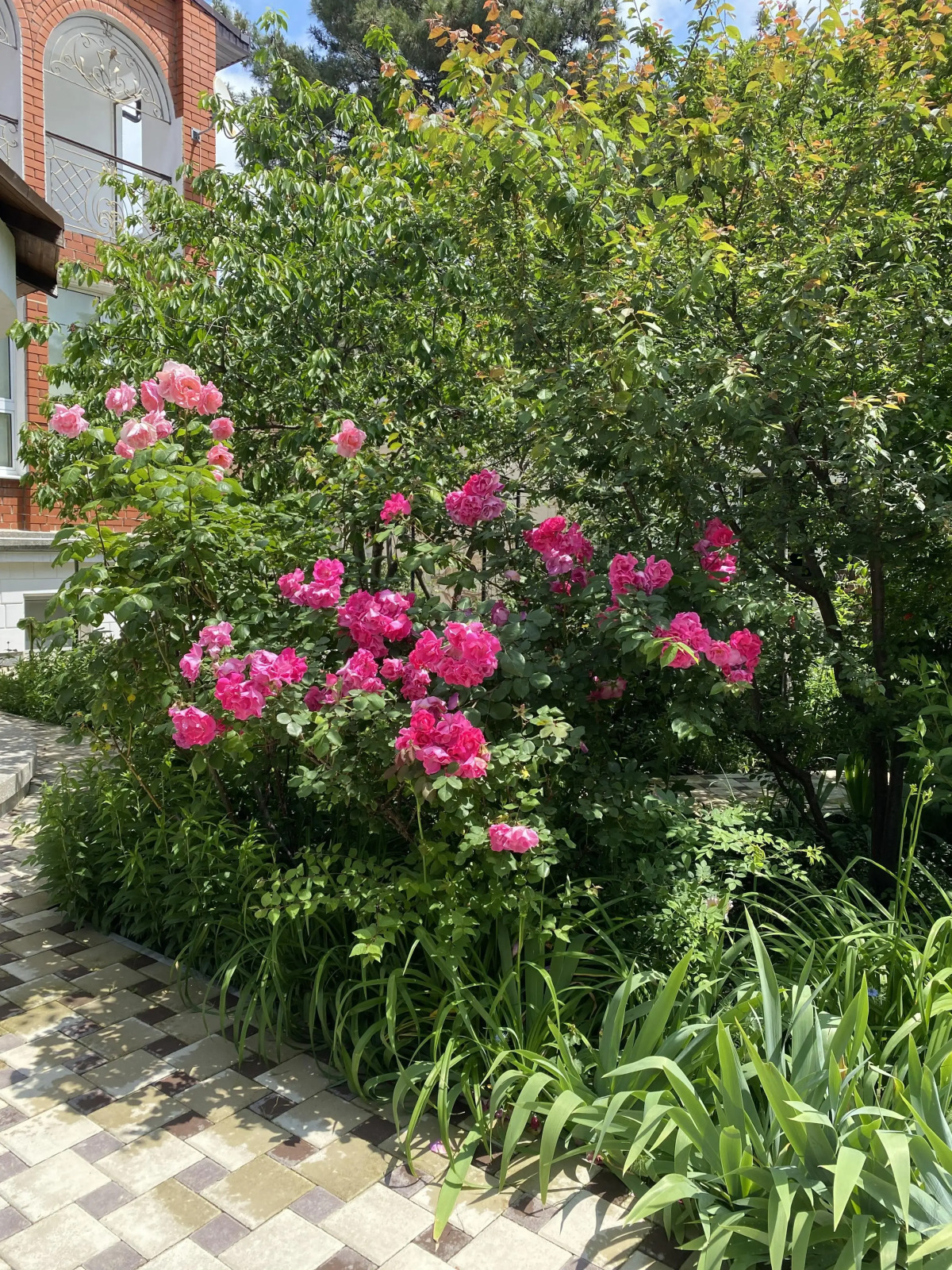 Гостевой Дом Белая Невесточка