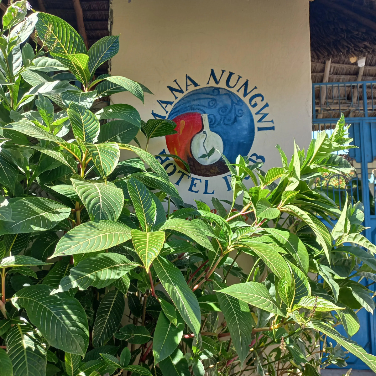 Гостевой дом MaNa Nungwi